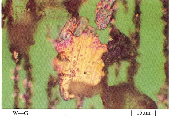 利用鐵譜儀檢測(cè)到的嚴(yán)重磨損顆粒